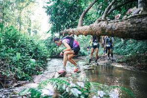 BIB: 
                            <button type="button" onclick="openModal(25435868)" class="btn btn-primary btn-sm float-right btn-popup" data-toggle="modal" data-target=".modal-high-quality">
                        <i class="fas fa-shopping-cart"></i> Add to Cart
                    </button>
                                            <button type="button" onclick="isThisMe(25435868, true)" class="btn btn-success btn-sm float-right btn-popup btn-isme hidden" data-toggle="tooltip" data-placement="bottom" title="นี่คือรูปของคุณใช่ไหม คลิกที่นี่เพื่อเอาเข้าอัลบั้ม">
                        <i class="fas fa-plus"></i> Add to album
                    </button>
                    <button type="button" onclick="isThisMe(25435868, false)" class="btn btn-warning btn-sm float-right btn-popup btn-isnotme hidden">
                        <i class="fas fa-ban"></i> Remove from album
                    </button>